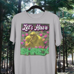 May include: A gray t-shirt with a green Shrek character graphic and the text "Let's Have Shrek" in pink and green letters.
