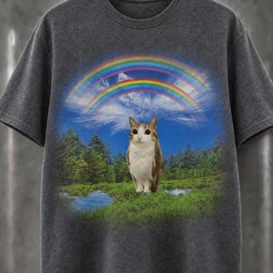 Può includere: Una t-shirt grigio antracite a maniche corte con una stampa grafica centrale raffigurante un gatto marrone e bianco in piedi in un campo verde con un piccolo stagno, uno sfondo boscoso e un vivace doppio arcobaleno in un cielo azzurro.