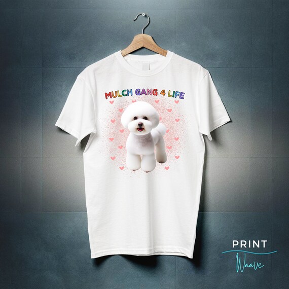 Best Friends For Life T Shirt Bichon Frise Dog Puppy Gift Best Friends For Life T Shirt Bichon Frise Dog Puppy Gift