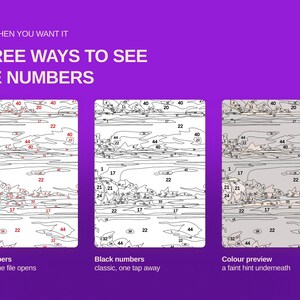 May include: A purple graphic display titled ONLY WHEN YOU WANT IT THREE WAYS TO SEE THE NUMBERS. It shows three paint-by-number templates: one with red numbers, one with black numbers, and one with a faint color preview underneath the lines.