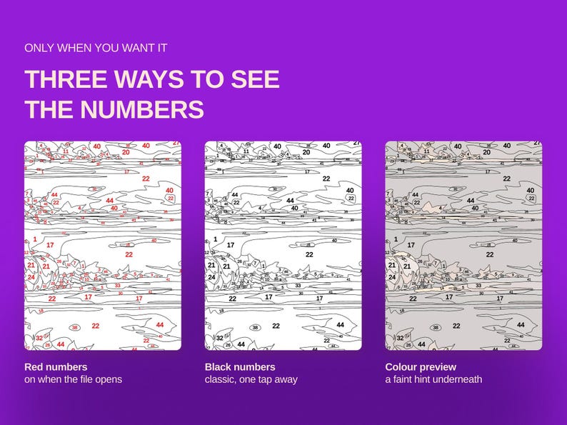 May include: A purple graphic display titled ONLY WHEN YOU WANT IT THREE WAYS TO SEE THE NUMBERS. It shows three paint-by-number templates: one with red numbers, one with black numbers, and one with a faint color preview underneath the lines.
