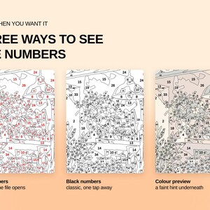 May include: A digital paint-by-number guide displaying three visual options: red numbers on a white background, black numbers on a white background, and a faint color preview. The text reads: ONLY WHEN YOU WANT IT, THREE WAYS TO SEE THE NUMBERS.