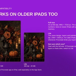 May include: A purple digital graphic displaying iPad compatibility information for a Procreate file. It features two previews of a dark floral still life with a raven and pumpkin, alongside text detailing Full size and Lite file specifications.