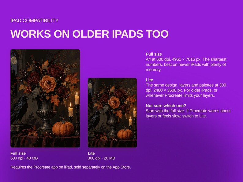 May include: A purple digital graphic displaying iPad compatibility information for a Procreate file. It features two previews of a dark floral still life with a raven and pumpkin, alongside text detailing Full size and Lite file specifications.
