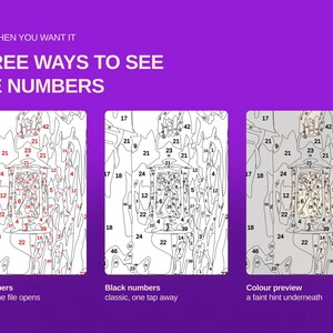 May include: A digital graphic on a purple background titled ONLY WHEN YOU WANT IT THREE WAYS TO SEE THE NUMBERS. It displays three versions of a paint-by-number lantern design: one with red numbers, one with black numbers, and one with a faint colour preview.