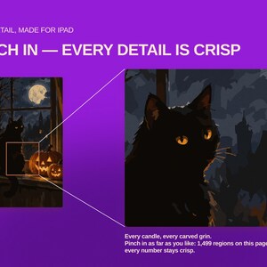 Pu&ograve; includere: Una grafica digitale su sfondo viola con l'illustrazione di un gatto nero. Il testo recita: HIGH DETAIL, MADE FOR IPAD, PINCH IN &mdash; EVERY DETAIL IS CRISP. Una sezione ingrandita mostra il volto del gatto con occhi gialli e una scena notturna.