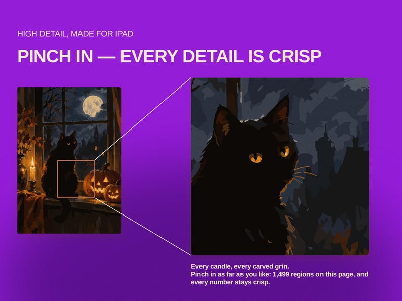 Pu&ograve; includere: Una grafica digitale su sfondo viola con l'illustrazione di un gatto nero. Il testo recita: HIGH DETAIL, MADE FOR IPAD, PINCH IN &mdash; EVERY DETAIL IS CRISP. Una sezione ingrandita mostra il volto del gatto con occhi gialli e una scena notturna.