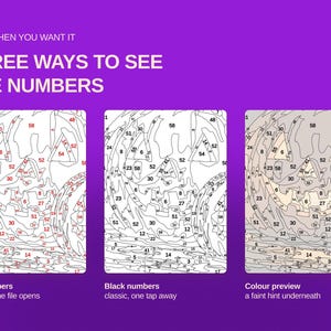 May include: A digital paint-by-number guide featuring a pumpkin design with three display options: red numbers, black numbers, and a color preview. The text reads: ONLY WHEN YOU WANT IT, THREE WAYS TO SEE THE NUMBERS, Red numbers on when the file opens, Black numbers classic, one tap away, Colour preview a faint hint underneath.