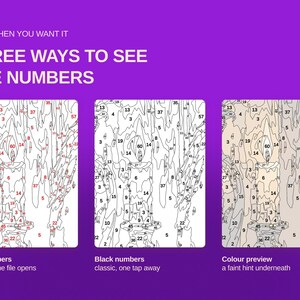Pu&ograve; includere: Una guida digitale di pittura con i numeri su sfondo viola con il testo ONLY WHEN YOU WANT IT THREE WAYS TO SEE THE NUMBERS. Tre pannelli mostrano l'illustrazione di una candela: con numeri rossi, numeri neri e un'anteprima del colore.