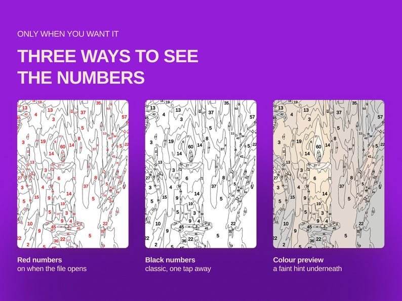 Pu&ograve; includere: Una guida digitale di pittura con i numeri su sfondo viola con il testo ONLY WHEN YOU WANT IT THREE WAYS TO SEE THE NUMBERS. Tre pannelli mostrano l'illustrazione di una candela: con numeri rossi, numeri neri e un'anteprima del colore.