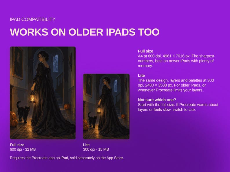 May include: A digital graphic on a purple background showing two versions of an illustration featuring a person in a black gown holding a lantern with a black cat and pumpkins. Text includes IPAD COMPATIBILITY, WORKS ON OLDER IPADS TOO, Full size, and Lite.
