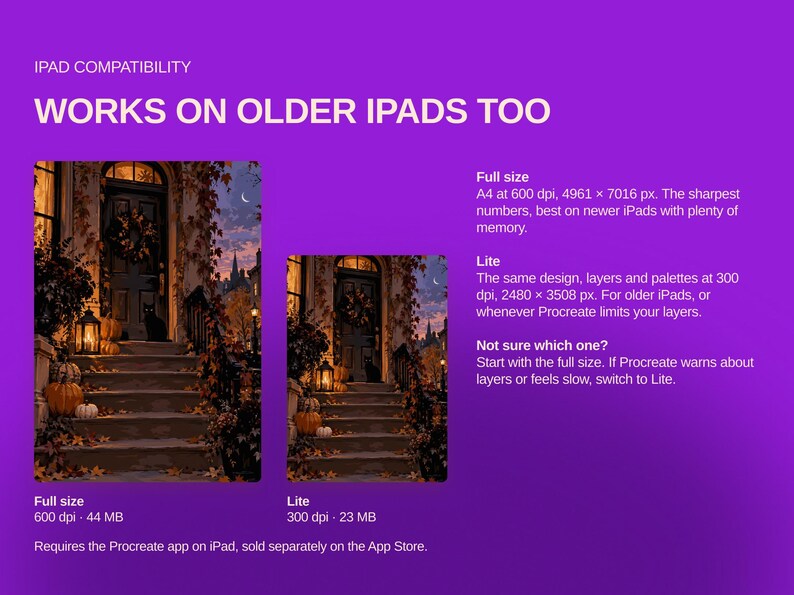 May include: A purple informational graphic titled IPAD COMPATIBILITY WORKS ON OLDER IPADS TOO. It displays two versions of an autumn house entrance illustration, labeled Full size at 600 dpi and 44 MB, and Lite at 300 dpi and 23 MB.