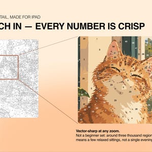 May include: A digital paint-by-number template featuring a ginger cat, with text reading HIGH DETAIL, MADE FOR IPAD, PINCH IN &mdash; EVERY NUMBER IS CRISP, and Vector-sharp at any zoom. Not a beginner set: around three thousand regions a page.