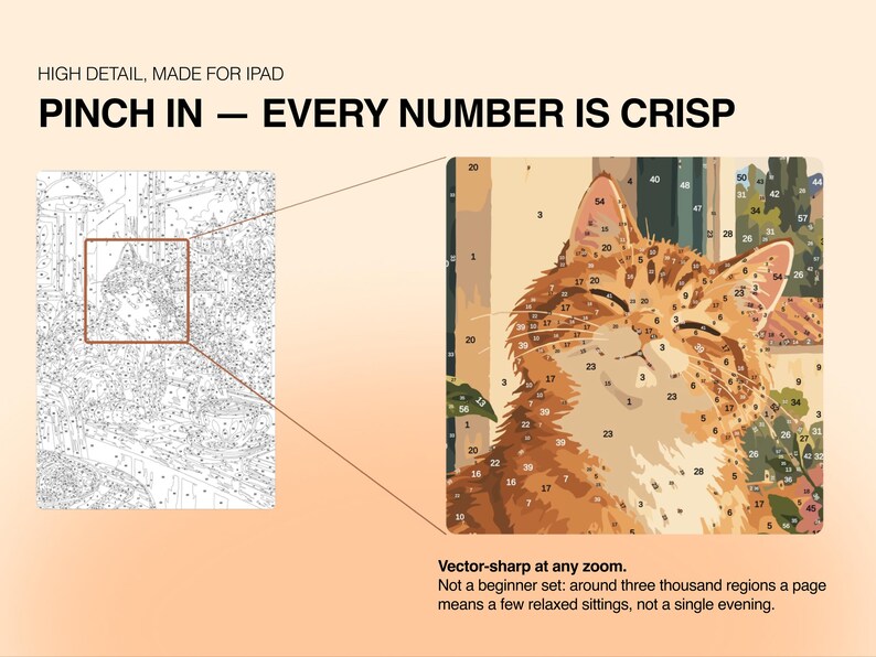 May include: A digital paint-by-number template featuring a ginger cat, with text reading HIGH DETAIL, MADE FOR IPAD, PINCH IN &mdash; EVERY NUMBER IS CRISP, and Vector-sharp at any zoom. Not a beginner set: around three thousand regions a page.