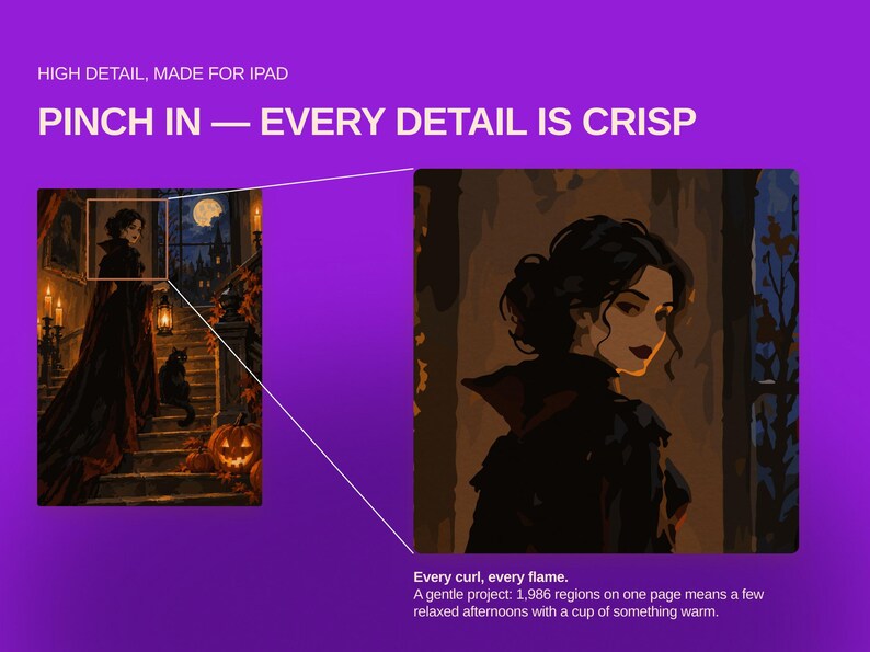 May include: A digital illustration on a purple background featuring a dark-haired person in a black outfit. Text reads: HIGH DETAIL, MADE FOR IPAD, PINCH IN &mdash; EVERY DETAIL IS CRISP, Every curl, every flame. A gentle project: 1,986 regions on one page.