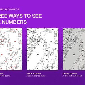 May include: A purple graphic display titled ONLY WHEN YOU WANT IT THREE WAYS TO SEE THE NUMBERS. It shows three variations of a paint-by-number template: one with red numbers, one with black numbers, and one with a faint color preview underneath.