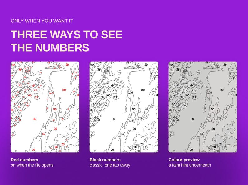 May include: A purple graphic display titled ONLY WHEN YOU WANT IT THREE WAYS TO SEE THE NUMBERS. It shows three variations of a paint-by-number template: one with red numbers, one with black numbers, and one with a faint color preview underneath.
