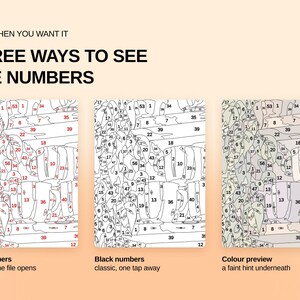 May include: A digital paint-by-number guide featuring three display options labeled ONLY WHEN YOU WANT IT THREE WAYS TO SEE THE NUMBERS. The first shows red numbers, the second shows black numbers, and the third shows a faint color preview underneath.