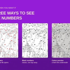 May include: A purple graphic display titled ONLY WHEN YOU WANT IT THREE WAYS TO SEE THE NUMBERS. It shows three panels of a paint-by-number template: one with red numbers, one with black numbers, and one with a faint color preview underneath.