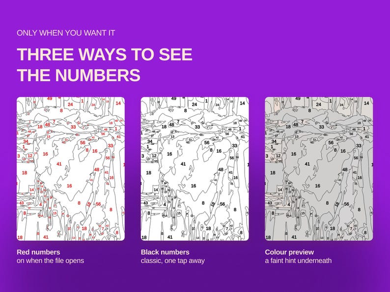 May include: A purple graphic display titled ONLY WHEN YOU WANT IT THREE WAYS TO SEE THE NUMBERS. It shows three panels of a paint-by-number template: one with red numbers, one with black numbers, and one with a faint color preview underneath.