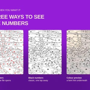 Op de afbeelding: Een digitale afbeelding op een paarse achtergrond met de tekst ONLY WHEN YOU WANT IT THREE WAYS TO SEE THE NUMBERS. Het toont drie schilderen-op-nummer sjablonen: &eacute;&eacute;n met rode cijfers, &eacute;&eacute;n met zwarte cijfers en &eacute;&eacute;n met een kleurvoorbeeld.