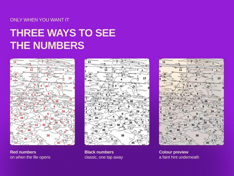 Op de afbeelding: Een digitale afbeelding op een paarse achtergrond met de tekst ONLY WHEN YOU WANT IT THREE WAYS TO SEE THE NUMBERS. Het toont drie schilderen-op-nummer sjablonen: &eacute;&eacute;n met rode cijfers, &eacute;&eacute;n met zwarte cijfers en &eacute;&eacute;n met een kleurvoorbeeld.