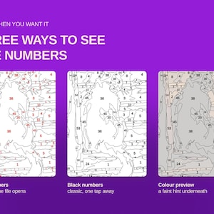 May include: A digital graphic on a purple background displaying three ways to see numbers in a paint-by-number file. The text reads: ONLY WHEN YOU WANT IT, THREE WAYS TO SEE THE NUMBERS, Red numbers, Black numbers, and Colour preview with descriptions.