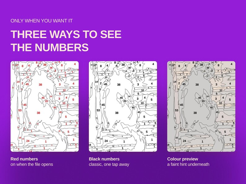 May include: A digital graphic on a purple background displaying three ways to see numbers in a paint-by-number file. The text reads: ONLY WHEN YOU WANT IT, THREE WAYS TO SEE THE NUMBERS, Red numbers, Black numbers, and Colour preview with descriptions.