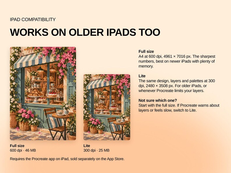 May include: An informational graphic about iPad compatibility for a digital art file. It displays two versions of a bakery illustration, labeled Full size at 600 dpi and 46 MB, and Lite at 300 dpi and 25 MB, with text explaining technical specifications.