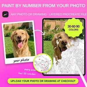 May include: A digital paint-by-number kit for Procreate featuring a golden retriever photo and a numbered outline template. Text includes PAINT BY NUMBER FROM YOUR PHOTO, 30-60-90 COLORS, your photo, every area has its number, and UPLOAD YOUR PHOTO OR DRAWING AT CHECKOUT.