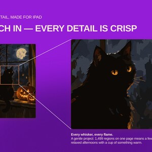 May include: A digital illustration of a black cat sitting on a windowsill with a full moon and jack-o'-lanterns in the background. The image includes text: HIGH DETAIL, MADE FOR IPAD, PINCH IN &mdash; EVERY DETAIL IS CRISP, Every whisker, every flame.