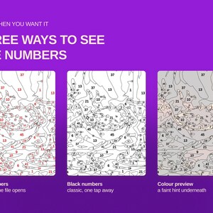 May include: A digital graphic on a purple background titled ONLY WHEN YOU WANT IT THREE WAYS TO SEE THE NUMBERS. It displays three variations of a paint-by-number template: one with red numbers, one with black numbers, and one with a faint color preview.