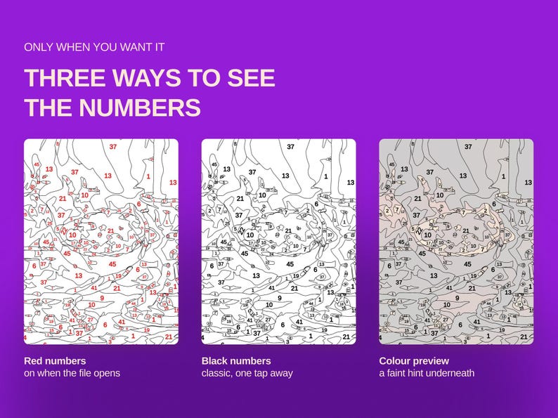 May include: A digital graphic on a purple background titled ONLY WHEN YOU WANT IT THREE WAYS TO SEE THE NUMBERS. It displays three variations of a paint-by-number template: one with red numbers, one with black numbers, and one with a faint color preview.