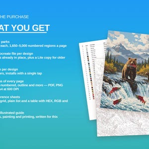 May include: A digital art collection featuring 42 national park designs. Includes Procreate files, color palettes, PDF, PNG, and SVG versions at 600 DPI, reference sheets, and a 20-page guide. The image displays a bear catching a salmon in a waterfall.