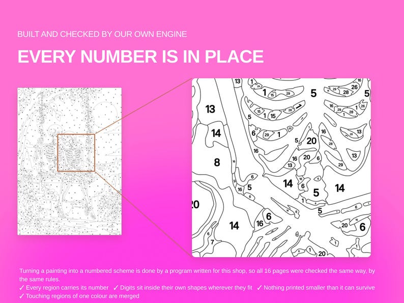 May include: A paint-by-number canvas template on a bright pink background with the text BUILT AND CHECKED BY OUR OWN ENGINE and EVERY NUMBER IS IN PLACE. The image shows a detailed skeleton outline with numbered sections for painting.