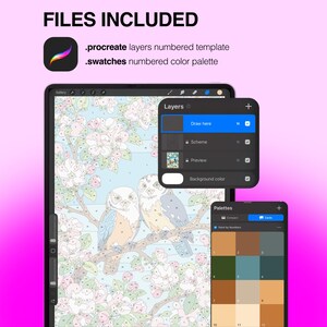 May include: A digital paint-by-number template for Procreate featuring two owls perched on a flowering branch. The interface displays a layers menu with options for drawing, scheme, and preview, alongside a numbered color palette swatch set.