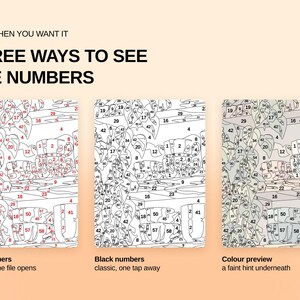 May include: A digital paint-by-number guide featuring three variations of a line art illustration. Text reads: ONLY WHEN YOU WANT IT, THREE WAYS TO SEE THE NUMBERS. The options include red numbers, black numbers, and a faint color preview.