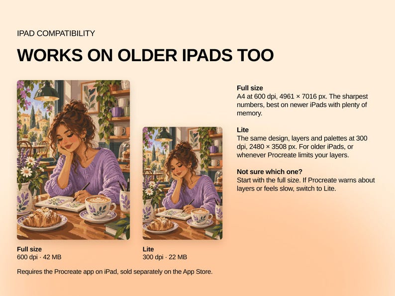 May include: An informational graphic about iPad compatibility for a digital illustration. It displays two versions of an artwork featuring a person in a purple sweater drawing in a cafe, labeled Full size and Lite, with technical specifications.