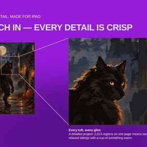 May include: A digital graphic on a purple background featuring a werewolf illustration with the text HIGH DETAIL, MADE FOR IPAD, PINCH IN &mdash; EVERY DETAIL IS CRISP, and Every tuft, every glint. A detailed project: 2,613 regions on one page.