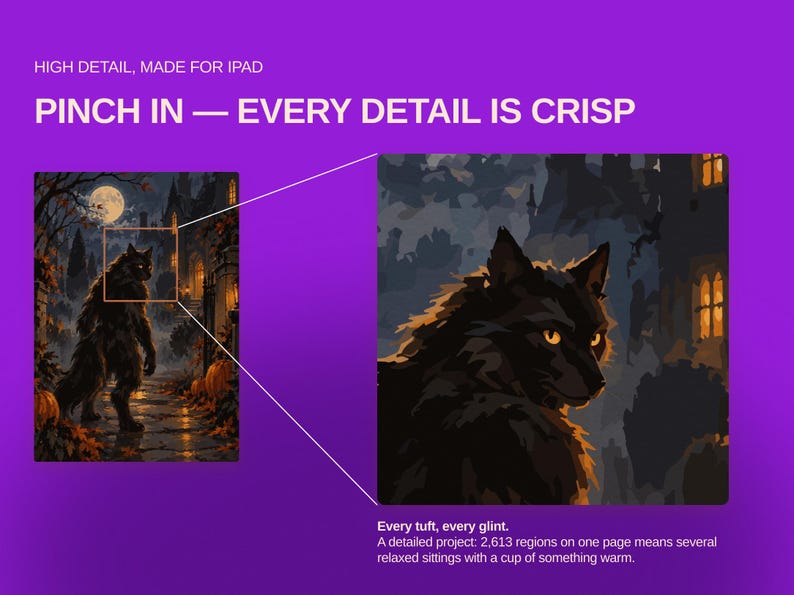 May include: A digital graphic on a purple background featuring a werewolf illustration with the text HIGH DETAIL, MADE FOR IPAD, PINCH IN &mdash; EVERY DETAIL IS CRISP, and Every tuft, every glint. A detailed project: 2,613 regions on one page.