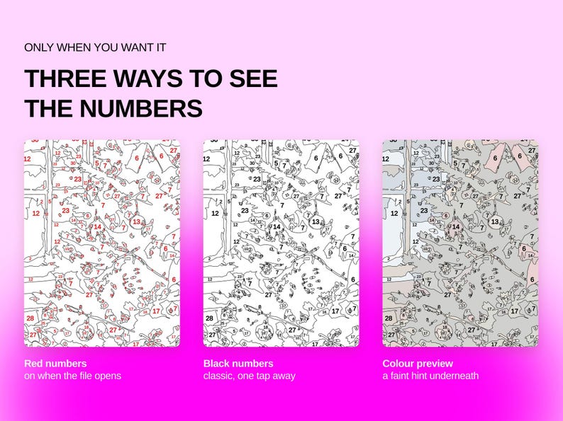 May include: A digital graphic displaying three ways to see numbers on a paint-by-numbers template. The text reads: ONLY WHEN YOU WANT IT, THREE WAYS TO SEE THE NUMBERS. The options are red numbers, black numbers, and a color preview with faint hints.