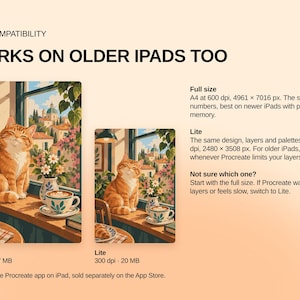 May include: Digital file information for iPad compatibility, featuring two versions of an orange cat illustration. Text includes 'IPAD COMPATIBILITY', 'WORKS ON OLDER IPADS TOO', 'Full size' at 600 dpi, and 'Lite' at 300 dpi for Procreate app usage.