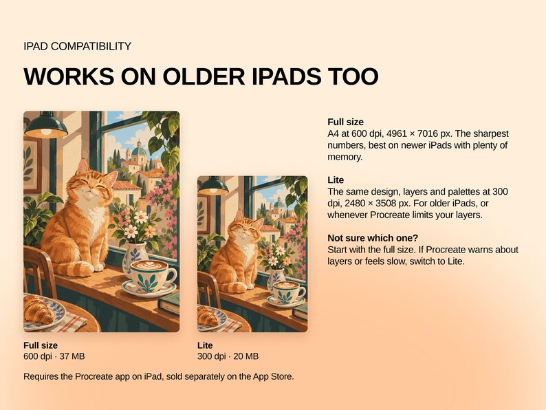 May include: Digital file information for iPad compatibility, featuring two versions of an orange cat illustration. Text includes 'IPAD COMPATIBILITY', 'WORKS ON OLDER IPADS TOO', 'Full size' at 600 dpi, and 'Lite' at 300 dpi for Procreate app usage.