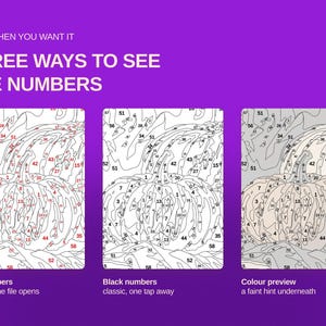 May include: A digital graphic on a purple background with the text ONLY WHEN YOU WANT IT THREE WAYS TO SEE THE NUMBERS. It displays three variations of a pumpkin paint-by-number template: one with red numbers, one with black numbers, and one with a faint color preview.