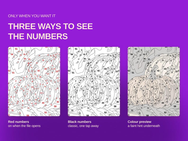 May include: A digital graphic on a purple background with the text ONLY WHEN YOU WANT IT THREE WAYS TO SEE THE NUMBERS. It displays three variations of a pumpkin paint-by-number template: one with red numbers, one with black numbers, and one with a faint color preview.