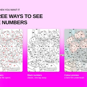 May include: A digital paint-by-number guide titled ONLY WHEN YOU WANT IT THREE WAYS TO SEE THE NUMBERS. It displays three versions of a floral bouquet illustration: one with red numbers, one with black numbers, and one with a faint color preview.
