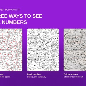May include: A digital graphic on a purple background displaying three variations of a paint-by-number template. The text reads: ONLY WHEN YOU WANT IT, THREE WAYS TO SEE THE NUMBERS. The panels show red numbers, black numbers, and a color preview.