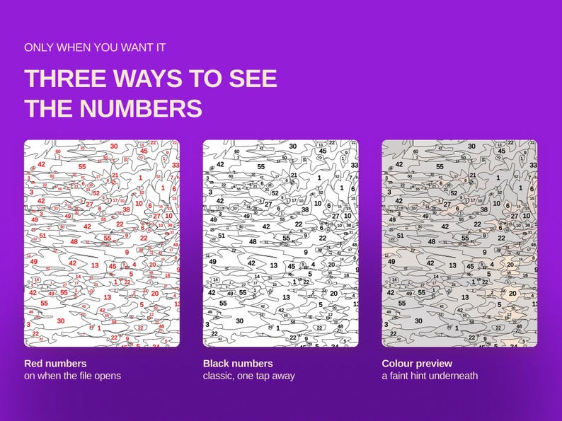 May include: A digital graphic on a purple background displaying three variations of a paint-by-number template. The text reads: ONLY WHEN YOU WANT IT, THREE WAYS TO SEE THE NUMBERS. The panels show red numbers, black numbers, and a color preview.