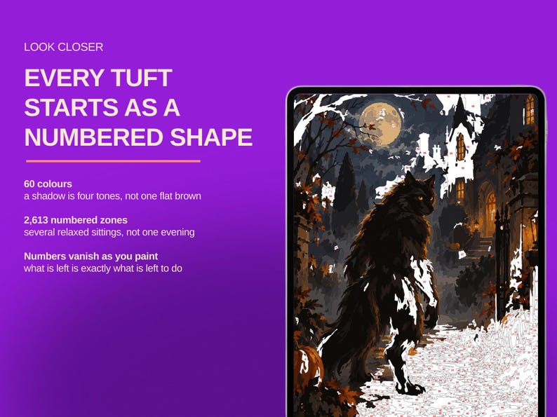 May include: A digital tablet displaying a paint-by-number artwork of a werewolf in a moonlit forest near a house. Text on the purple background reads: LOOK CLOSER, EVERY TUFT STARTS AS A NUMBERED SHAPE, 60 colours, 2,613 numbered zones, and more.