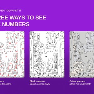 May include: A digital paint-by-number interface on a purple background with the text ONLY WHEN YOU WANT IT THREE WAYS TO SEE THE NUMBERS. Three panels show a cat outline with red numbers, black numbers, and a faint colour preview underneath.